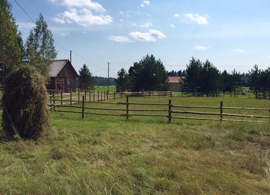heinäseiväs50